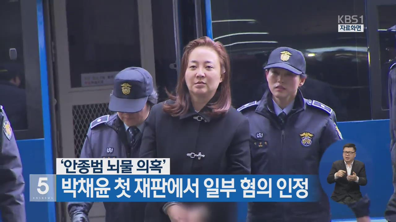 ‘안종범 뇌물 의혹’ 박채윤 첫 재판에서 일부 혐의 인정