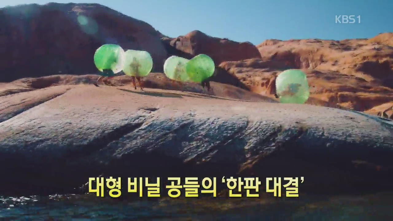 [세상의 창] 대형 비닐 공들의 ‘한판 대결’