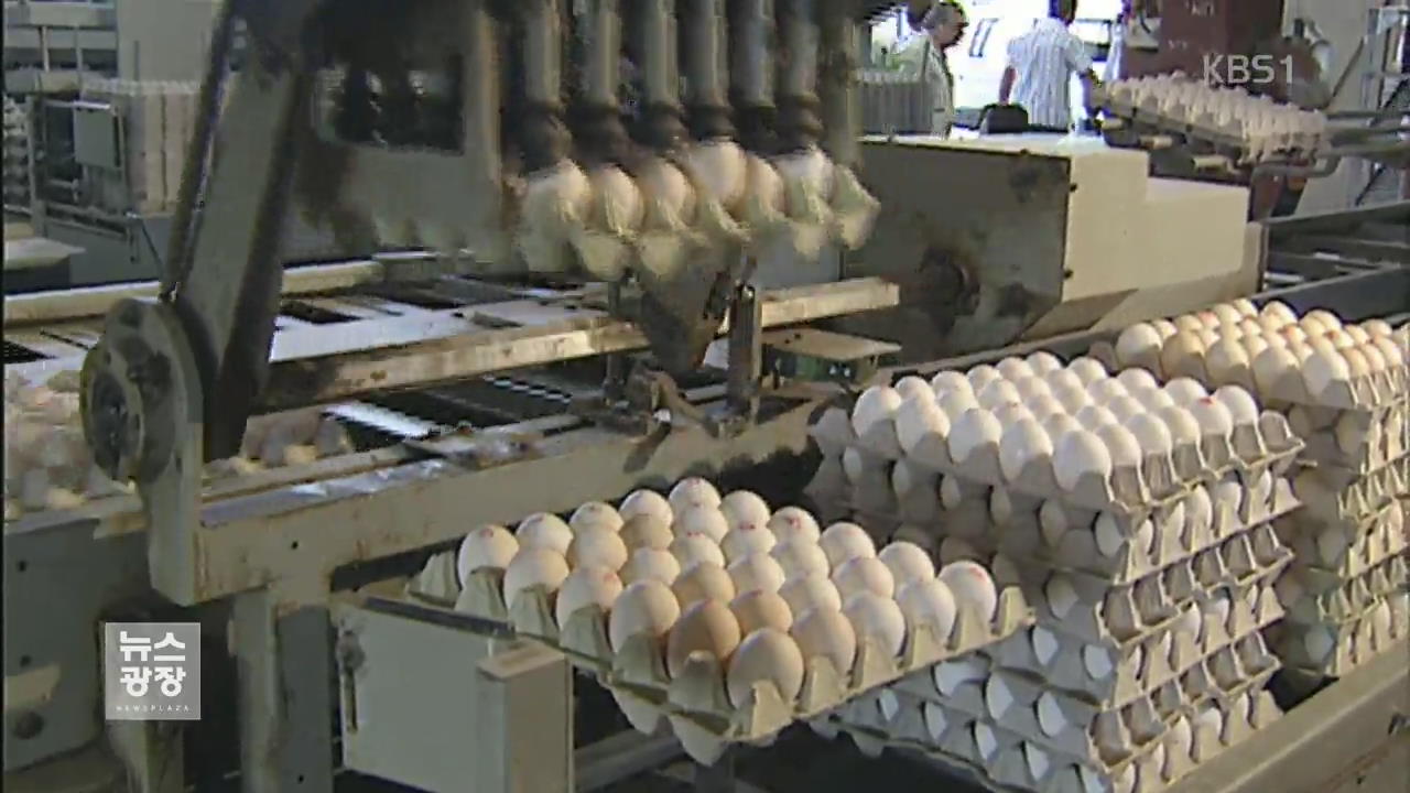 美에서도 AI 발생…달걀 등 수입 금지