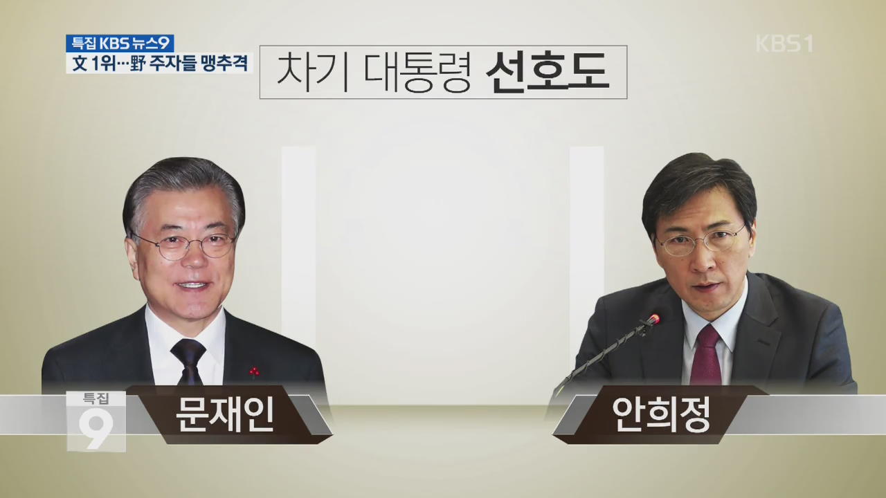 [여론조사] ① KBS-연합뉴스 대선 여론조사…문재인 29.9% 1위