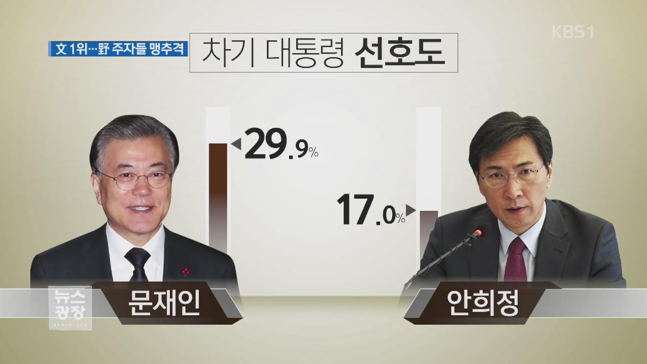 [여론조사] ① KBS-연합뉴스 대선 여론조사…문재인 29.9%