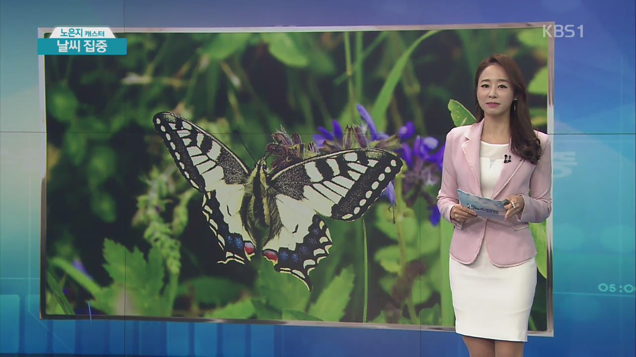 [날씨 집중] 지구 온난화로 나비 개체수 감소