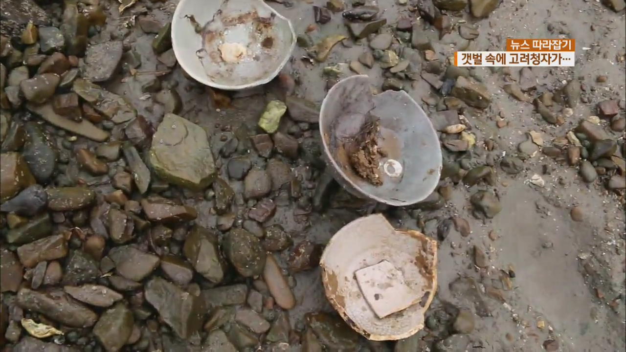 [뉴스 따라잡기] 갯벌에 파묻힌 고려청자…어부가 도굴꾼