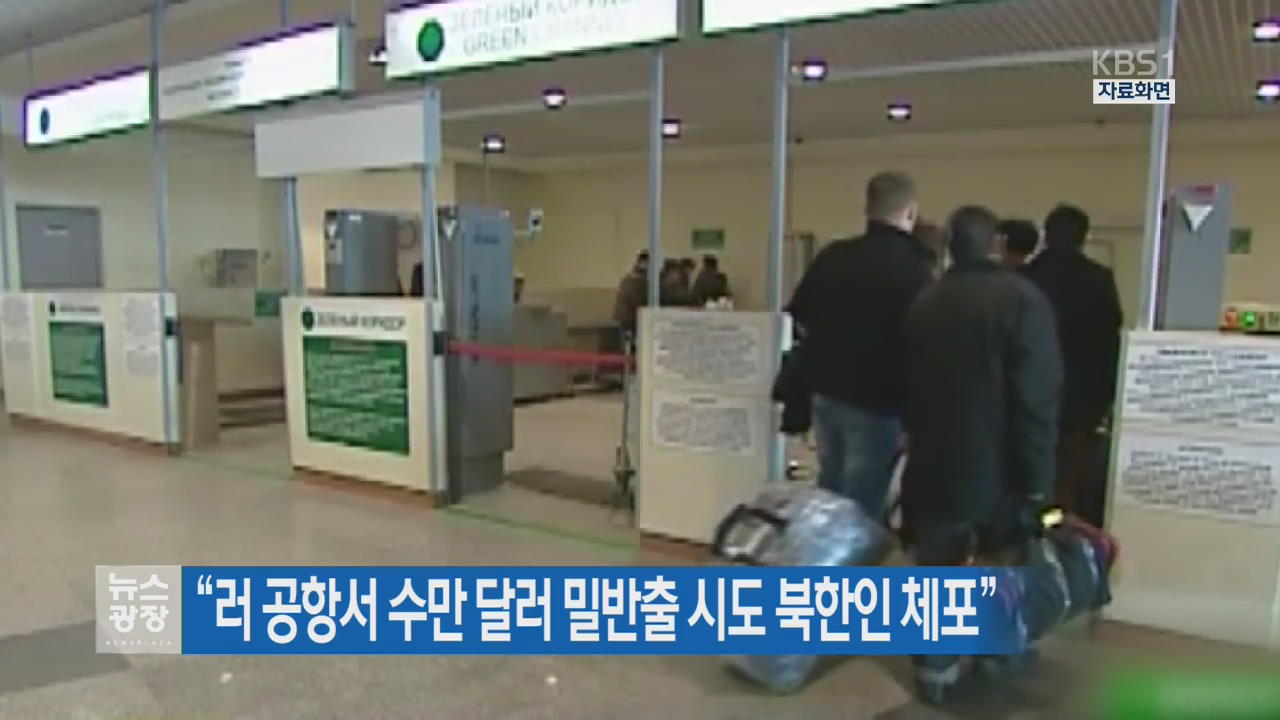 “러 공항서 수만 달러 밀반출 시도 북한인 체포”