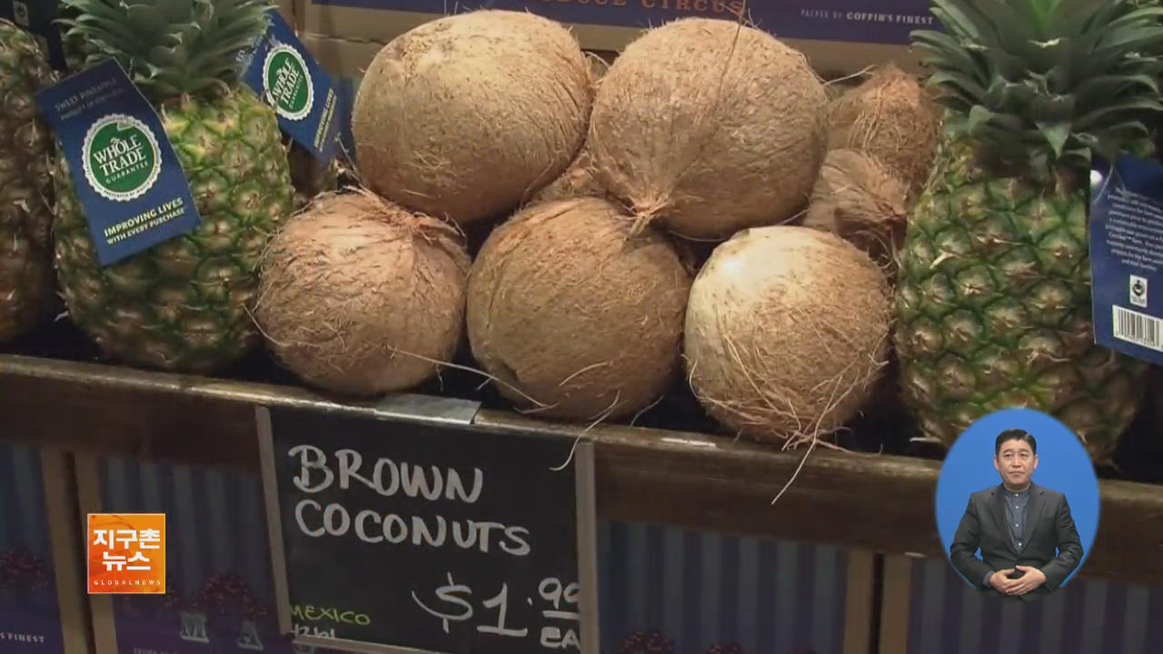 [ABU 세계 창] 美 ‘코코넛’ 슈퍼푸드로 각광
