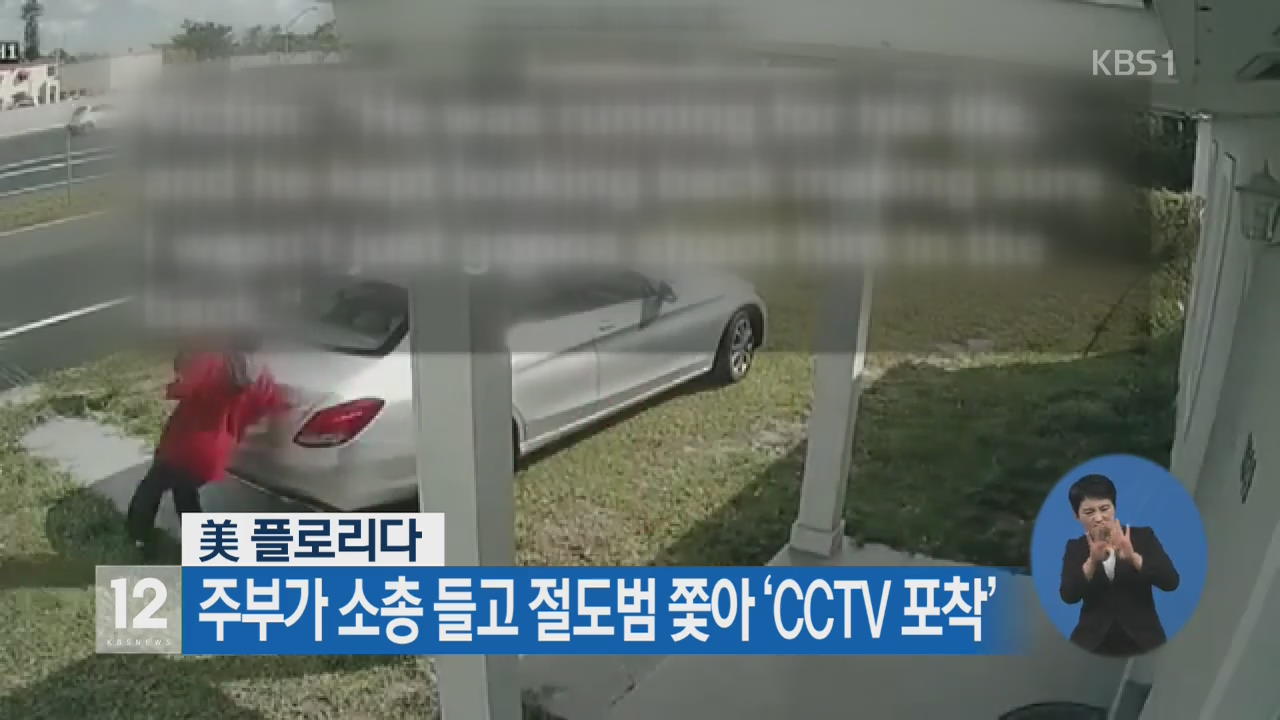 美, 주부가 소총 들고 절도범 쫓아 ‘CCTV 포착’