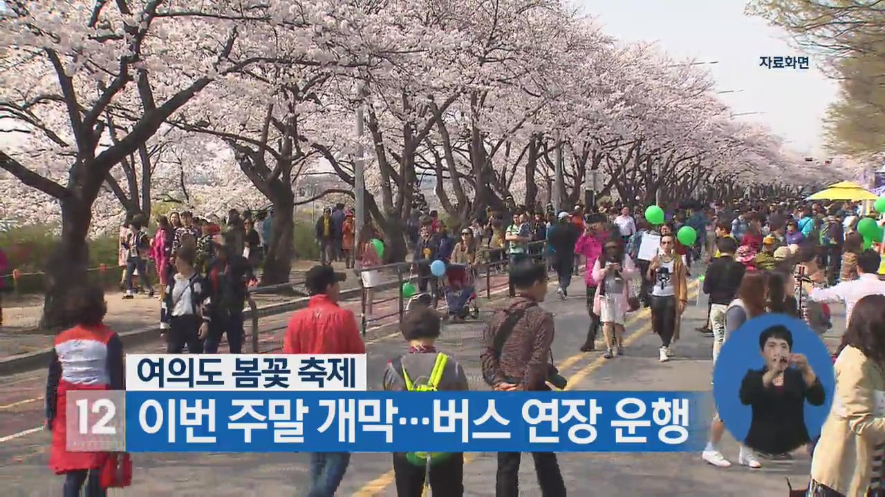 여의도 봄꽃 축제 이번 주말 개막…버스 연장 운행