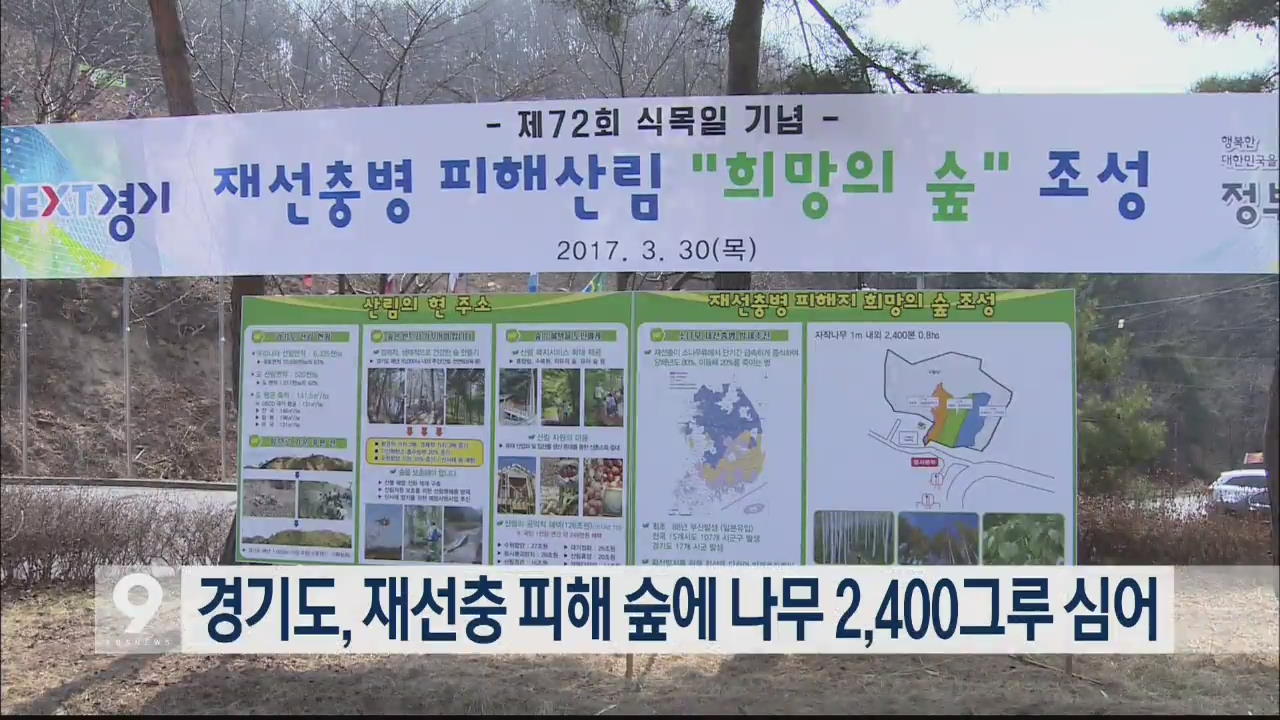 경기도, 재선충 피해 숲에 나무 2,400그루 심어
