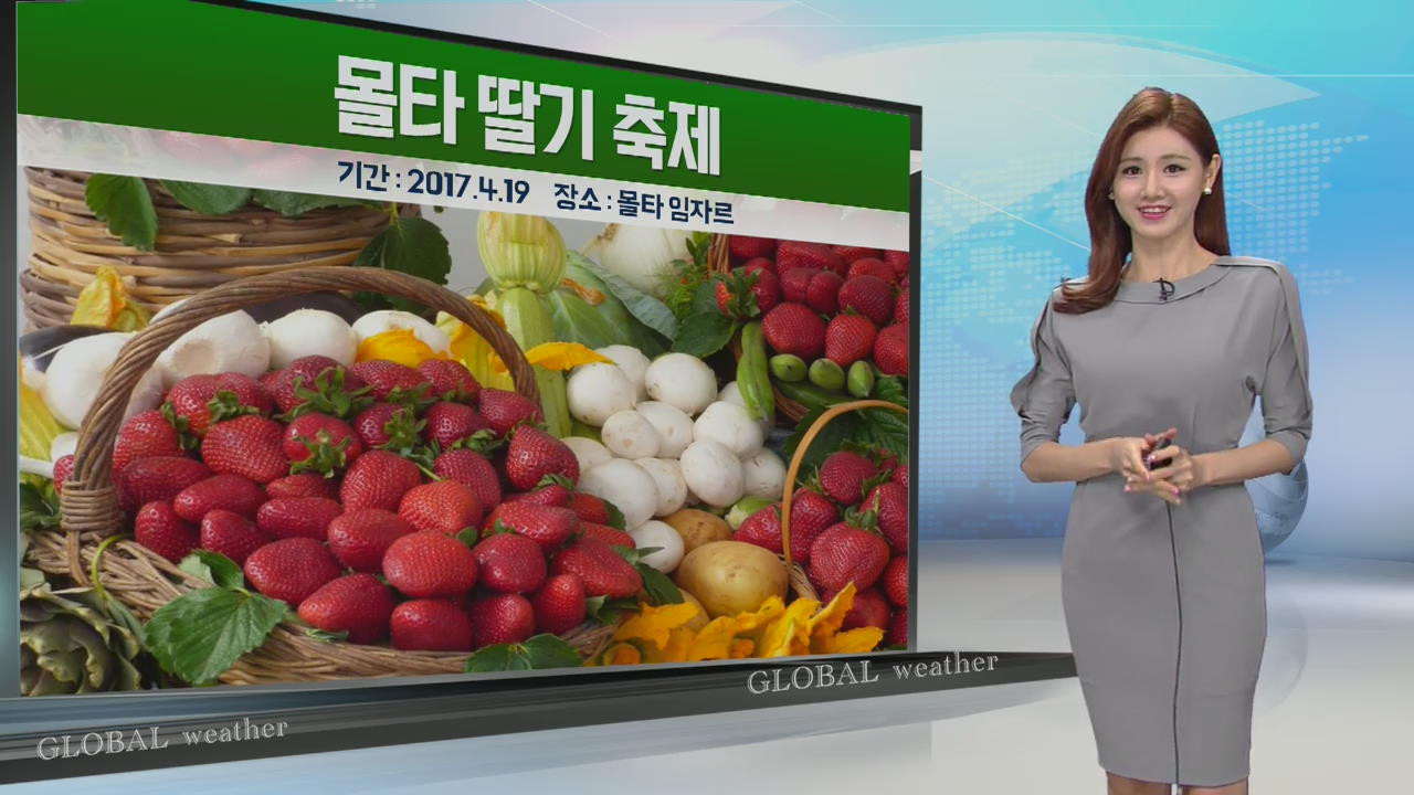 [지구촌 날씨] 몰타 딸기 축제