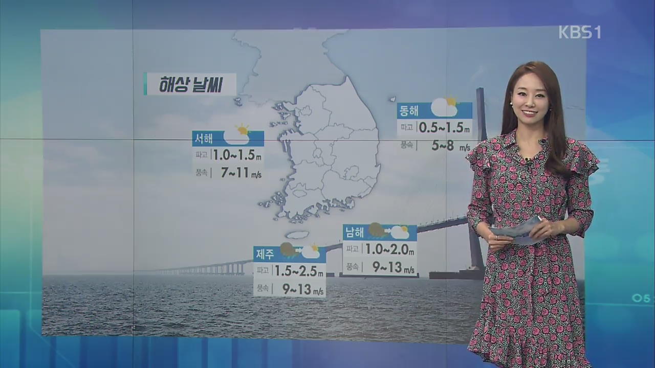 [날씨 집중] 어제, 여의도 벚꽃 공식 개화