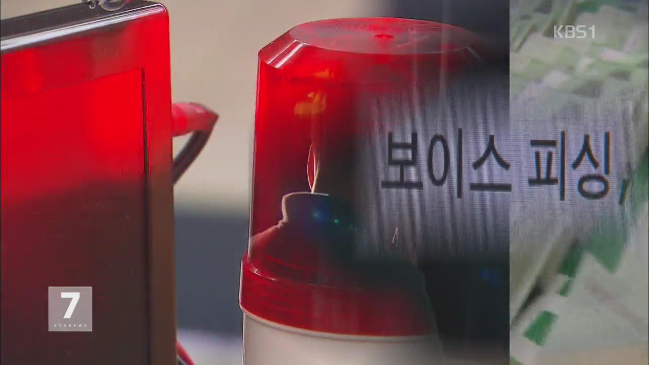 1시간에 1건꼴…끝없는 보이스피싱 피해