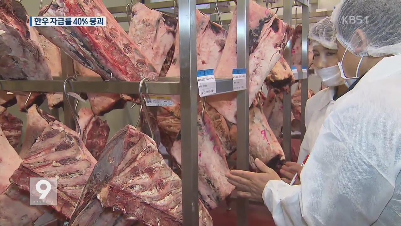 외국산 공세·‘김영란법’…한우 자급률 40% 붕괴