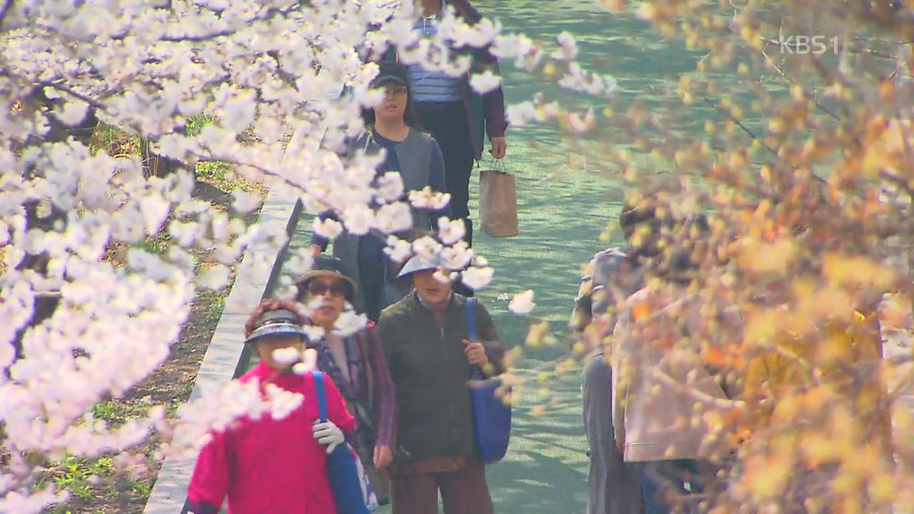 [뉴스광장 영상] 봄을 맞은 양재천