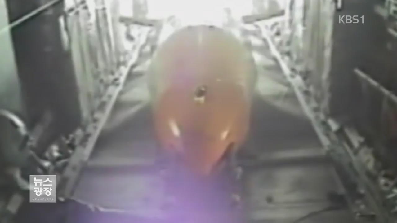 美 국방부, ‘폭탄의 어머니’ GBU-43 투하 영상 공개
