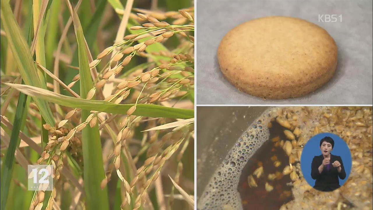 ‘가루용’ 쌀 개발…밀 대신 쌀로 맥주 제조