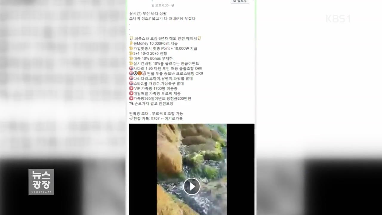 SNS 지진 괴담…잡고 보니 ‘도박 홍보’