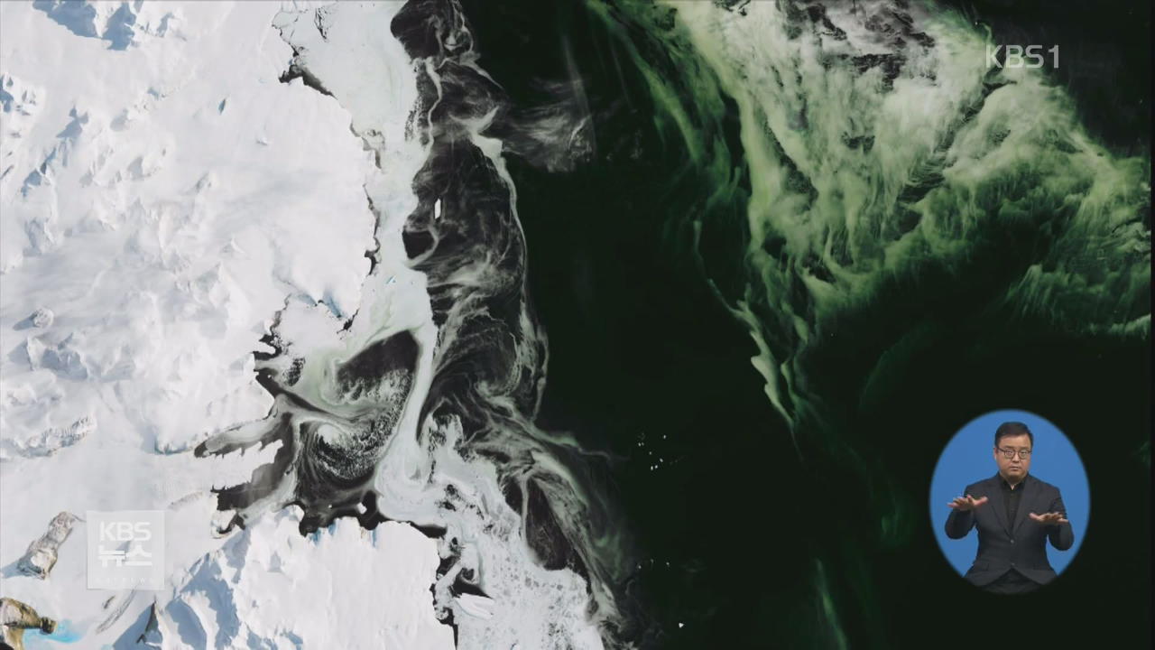 남극에도 녹조…고온에 플랑크톤 급증