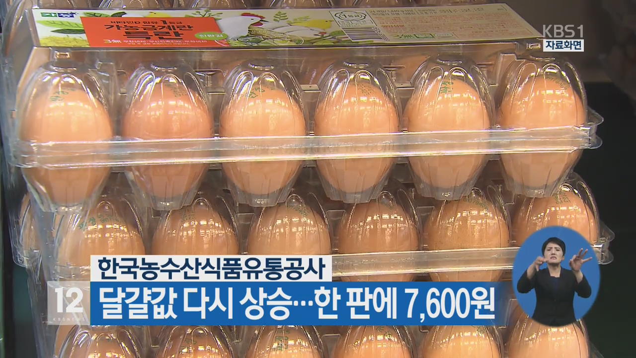 달걀값 다시 상승…한 판에 7,600원