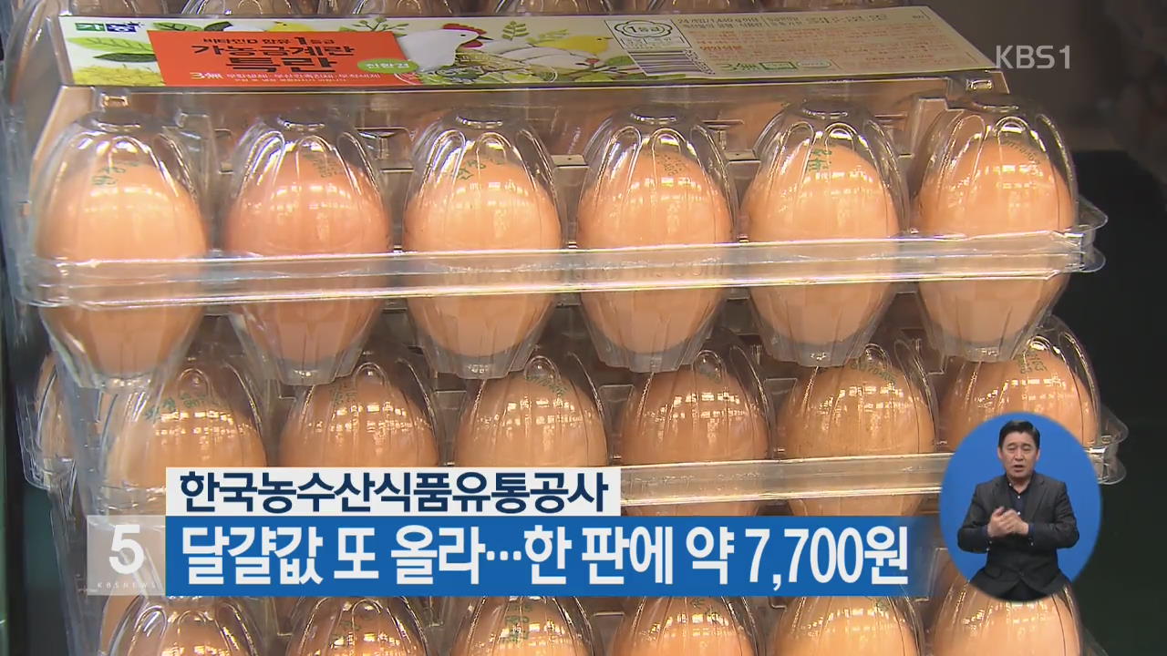 달걀값 또 올라…한 판에 약 7,700원