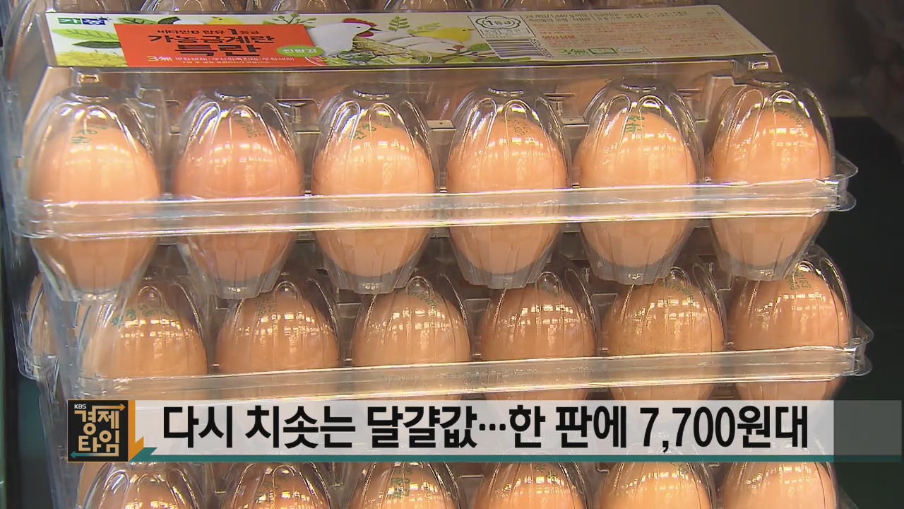 다시 치솟는 달걀값…한 판에 7,700원대