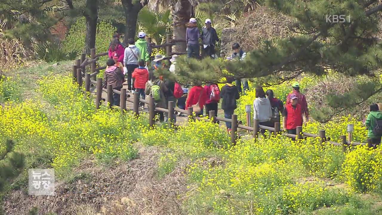 2년 만에 제주 새 올레길 13.5km 선보여