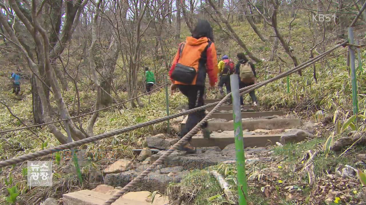 봄 산행 안전사고 빈번…등산로 선택 유의