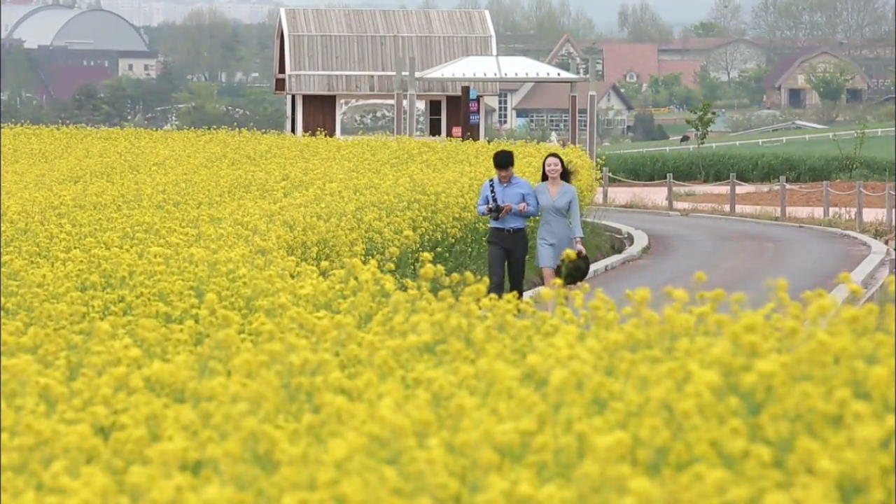 [Korea Snapshot] Anseong Farmland