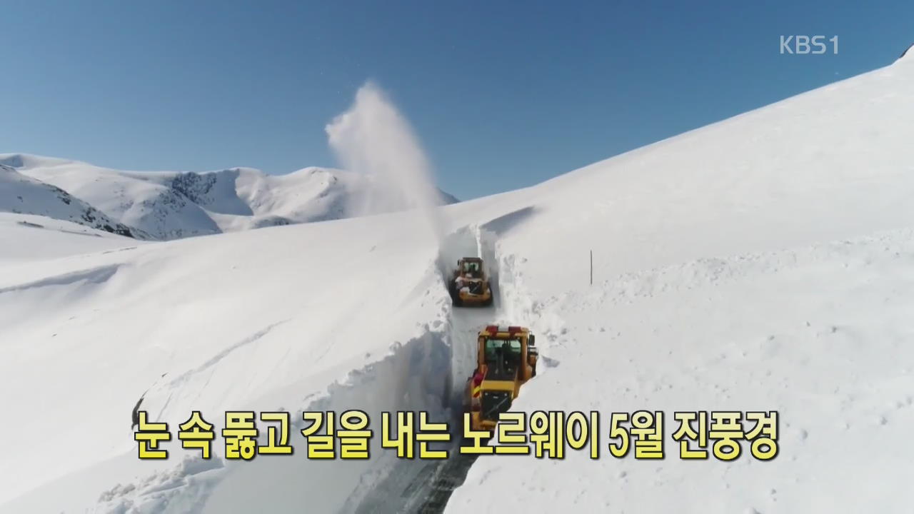 [디지털 광장] 눈 속 뚫고 길을 내는 노르웨이 5월 진풍경