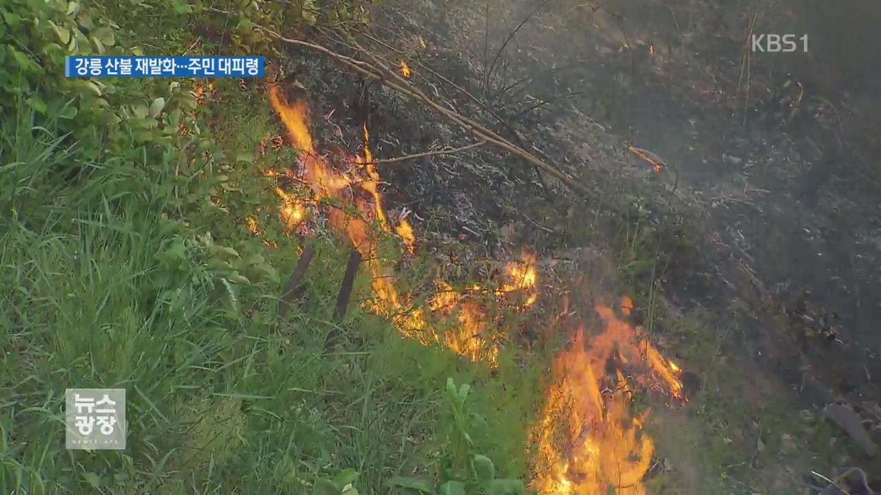 강릉 산불 재발화…강원도 산불 비상