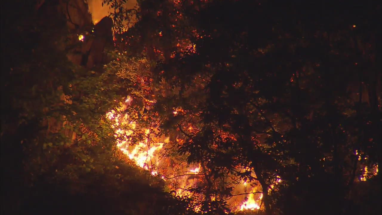 Gangneung Wildfire
