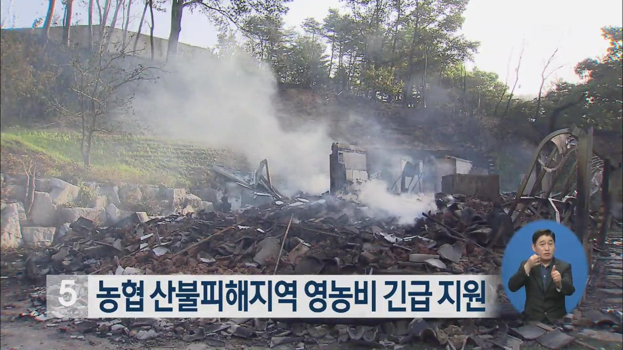 농협 산불피해지역 영농비 긴급 지원