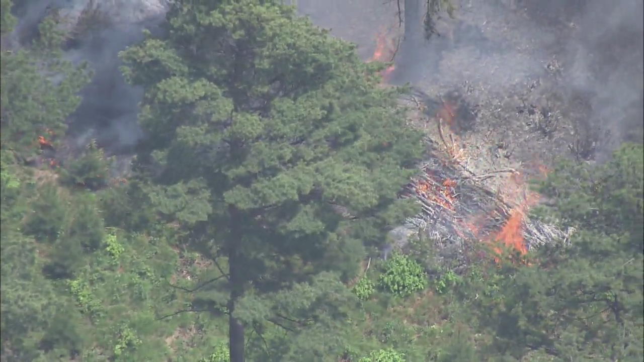 Gangneung Wildfires