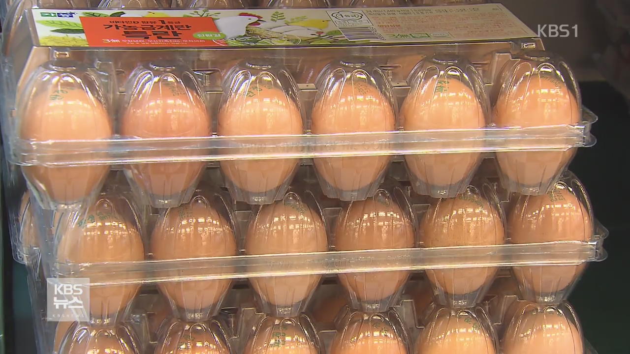 달걀값 오름세…내일부터 사재기 점검