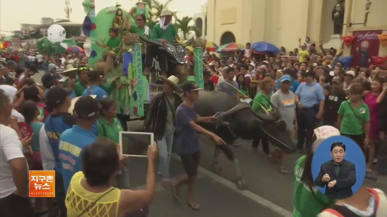 [지구촌 화제 영상] 필리핀 농부들의 ‘물소 축제’