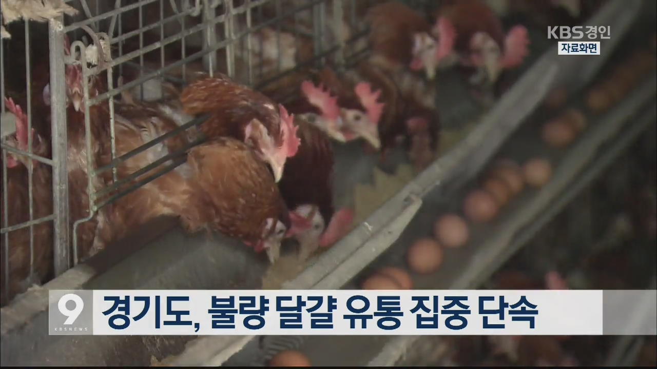 경기도, 불량 달걀 유통 집중 단속