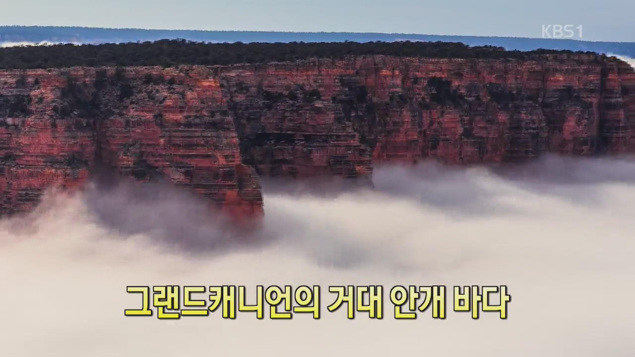 [디지털 광장] 그랜드캐니언의 거대 안개 바다