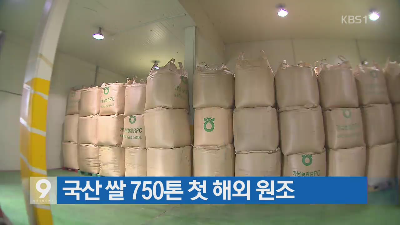 [간추린 단신] 국산 쌀 750톤 첫 해외 원조 외