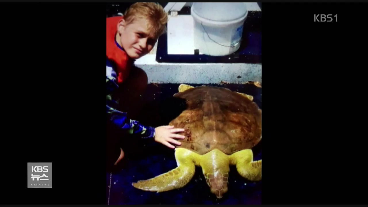 호주, 죽어가는 바다거북이 구조한 어린이