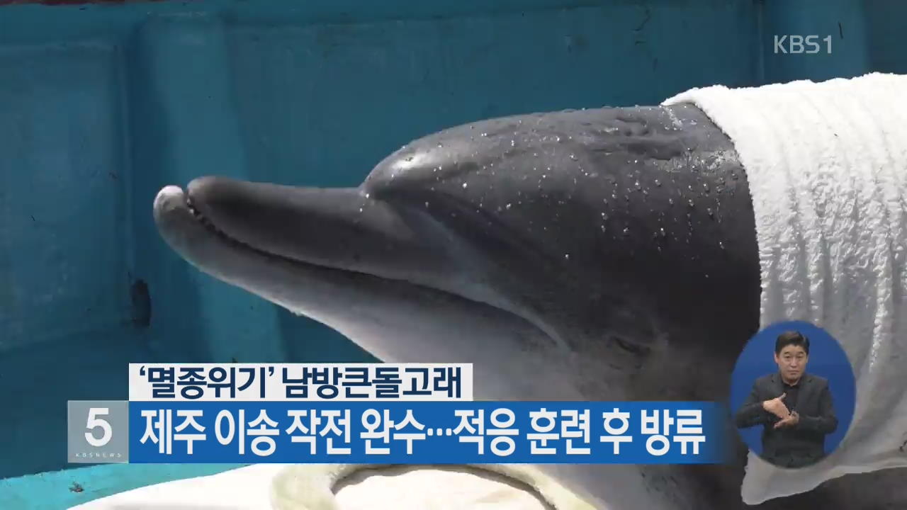 ‘멸종위기’ 남방큰돌고래, 제주 이송 작전 완수