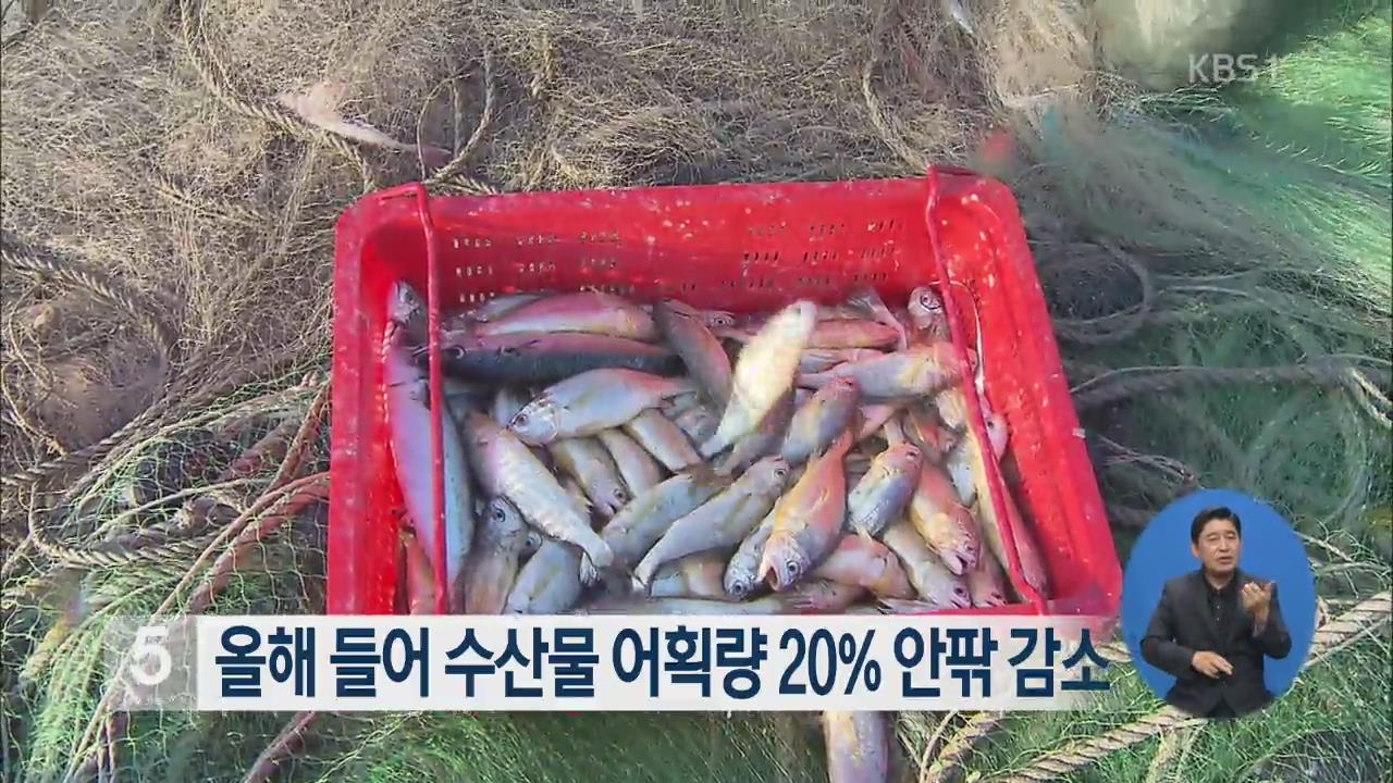 올해 들어 수산물 어획량 20% 안팎 감소