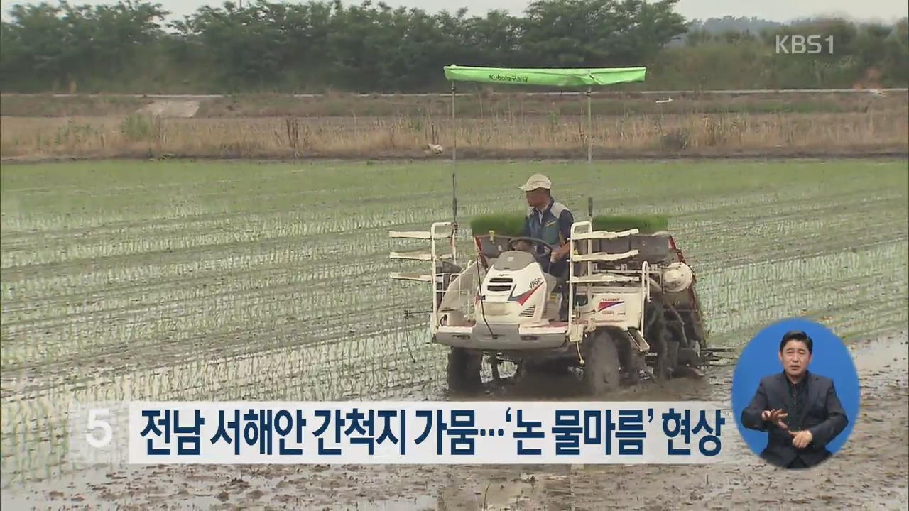 전남 서해안 간척지 가뭄…‘논 물마름’ 현상