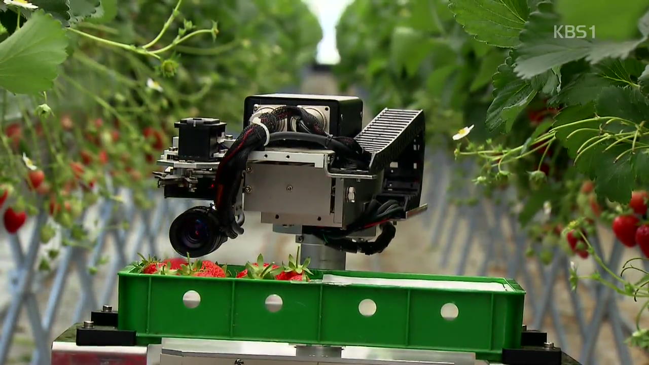 로봇·IT로 척척…농부 없는 농장 ‘성큼’
