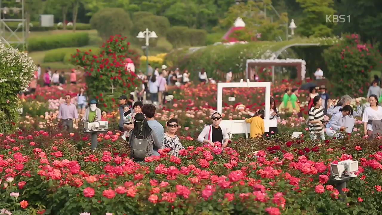 [뉴스광장 영상] 울산대공원 장미축제
