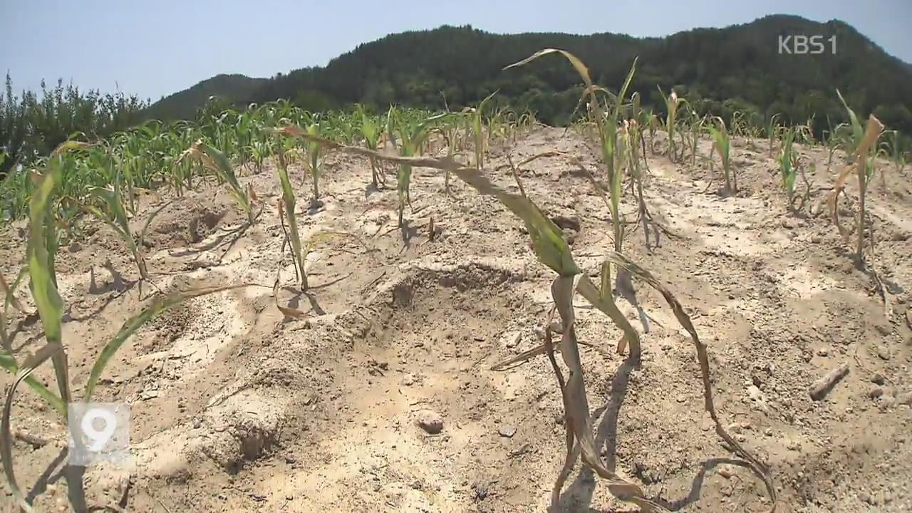 충남, 가뭄 가장 심각…내륙으로 확산 중