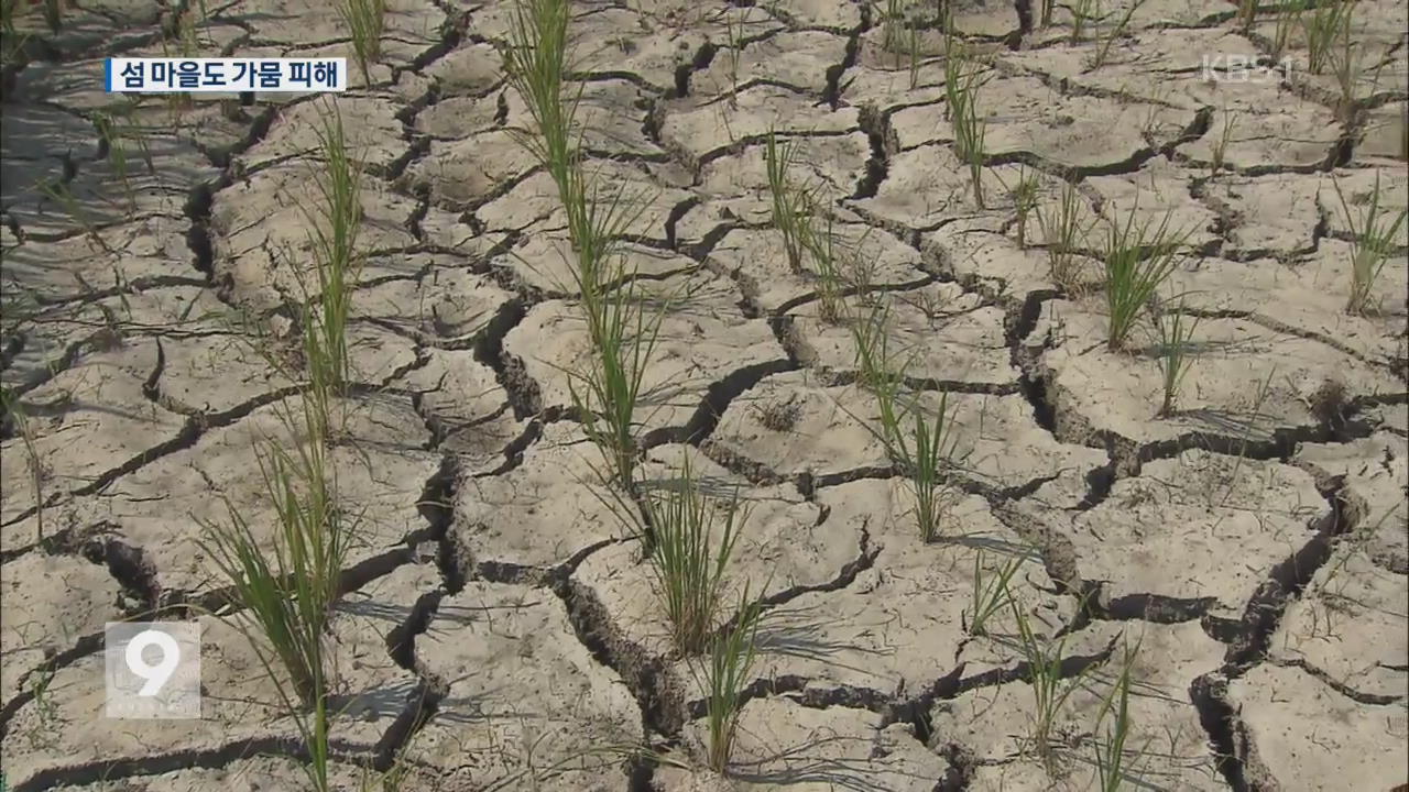 전남 해안·섬마을도 가뭄 피해 확산
