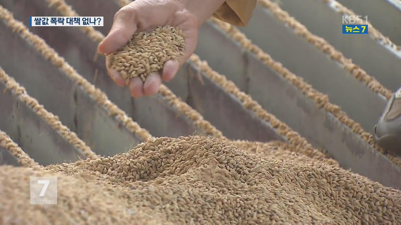 쌀값 폭락 대책 없나?…생산조정제·목표 가격 ↑