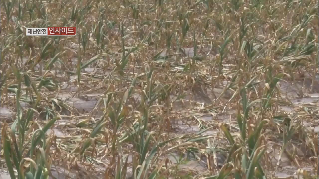 [재난·안전 인사이드] 가뭄 피해 확산…6월에도 계속될 듯