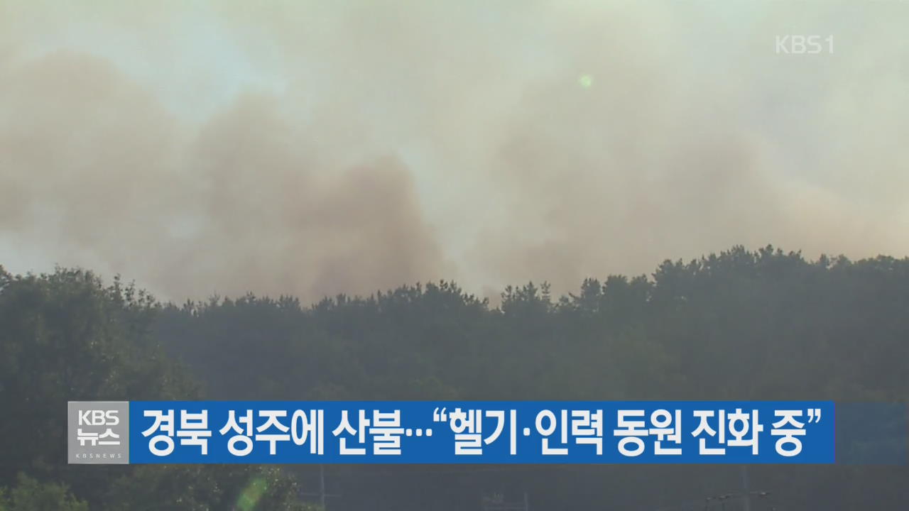 경북 성주에 산불…“헬기·인력 동원 진화 중”