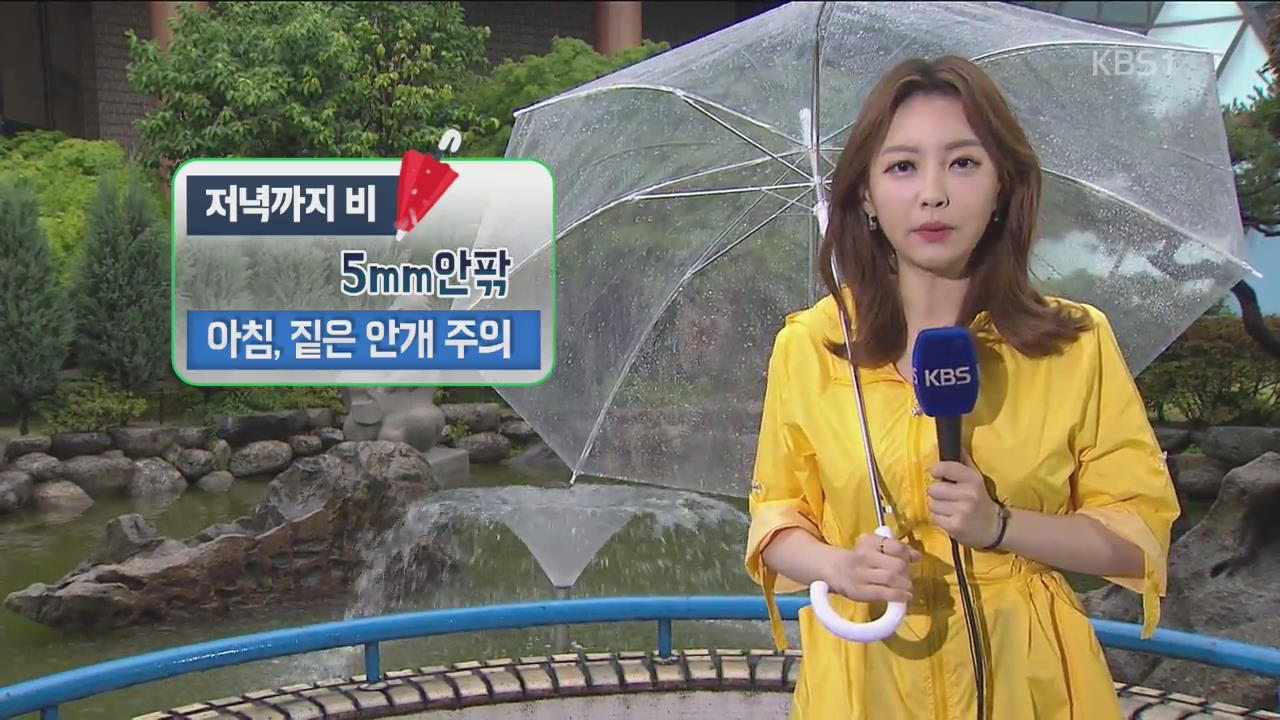 전국 저녁까지 단비…곳곳 안개·강풍