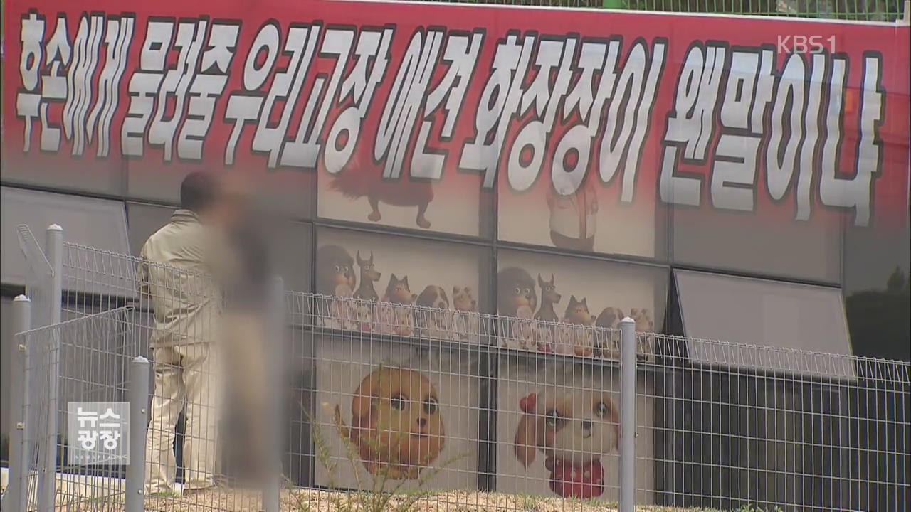 무허가에 용도변경…동물 화장장 편법 기승